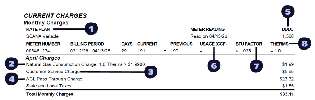 SCANA Bill Example