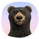 Bear face Bear face